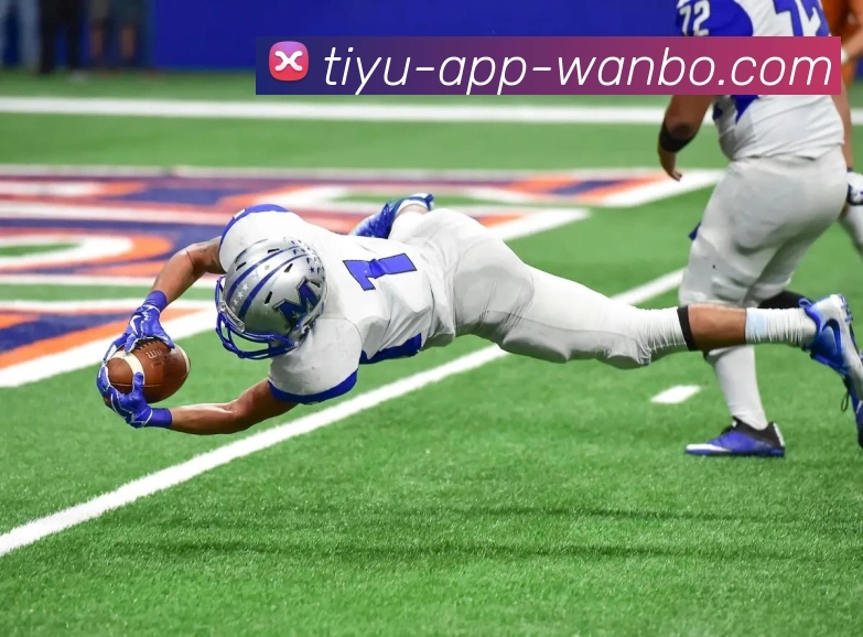 万博体育平台生态图