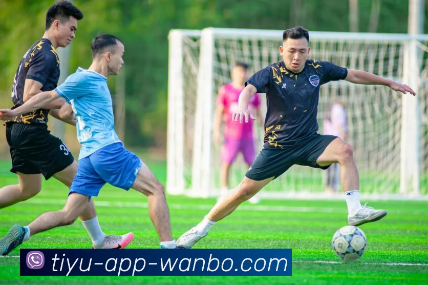 万博体育APP 封面图