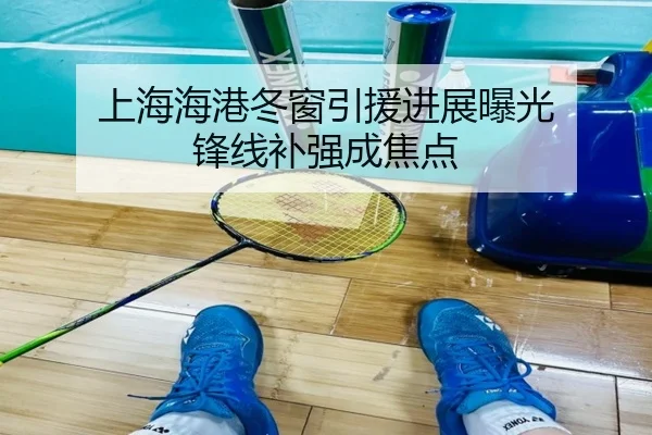 上海海港冬窗引援进展曝光 锋线补强成焦点 - ManBetX